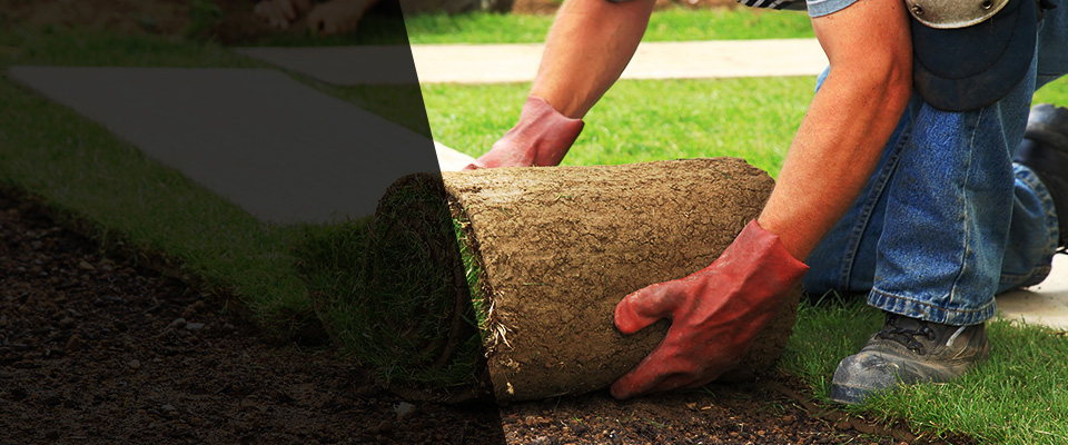 Flippin Landscapers